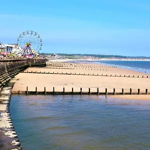 Sea Front With Massage Shower Netflix Great Location Apartment